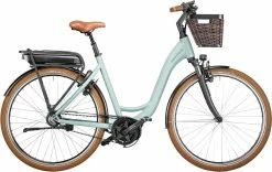 Riese & Müller Riese & Müller Swing Silent Salvia Matt Größe 46 Cm