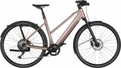 Riese & Müller Riese & Müller UBN Seven Touring Rose Größe 45 Cm