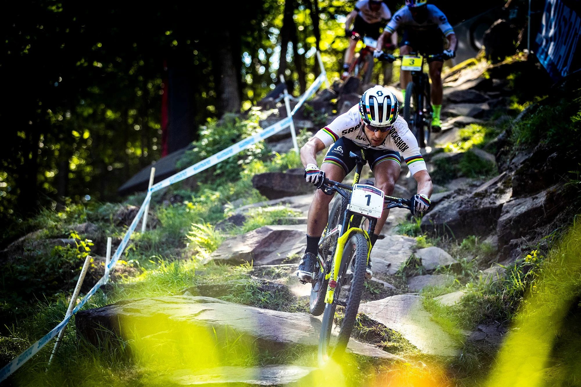 Fahrräder Verkaufsladen -Fahrräder Verkaufsladen 39102578 10156324153250211 8671680988012609536 n