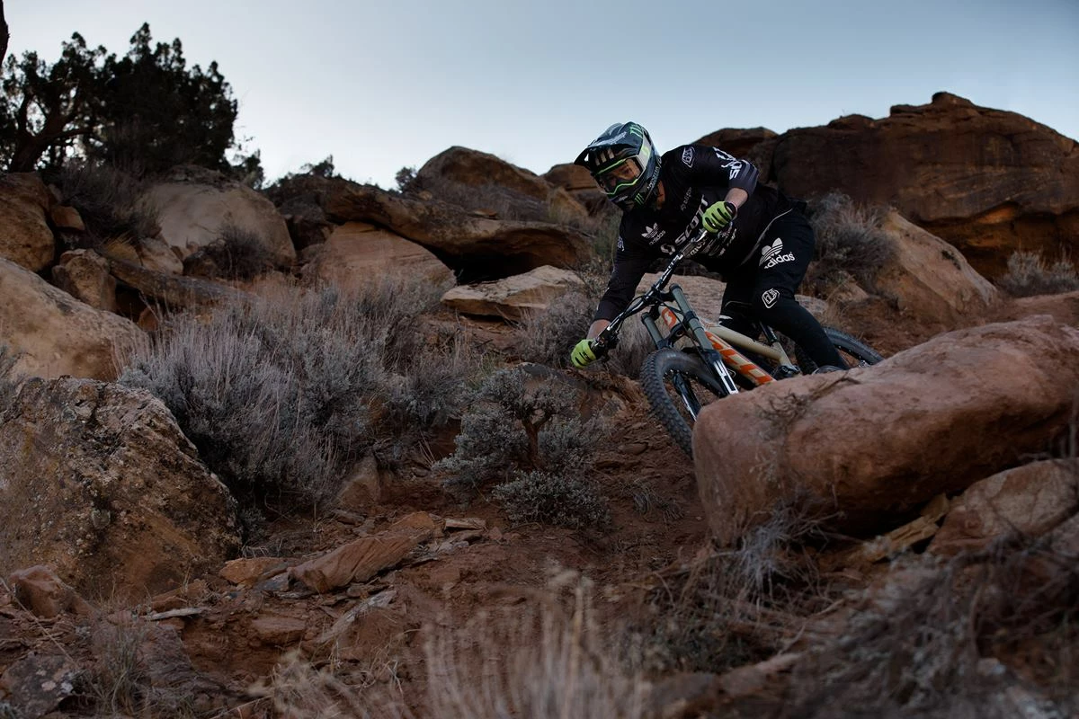 Fahrräder Verkaufsladen -Fahrräder Verkaufsladen 45403612 10156512760070211 5786659031888166912 n
